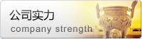 公司實力
